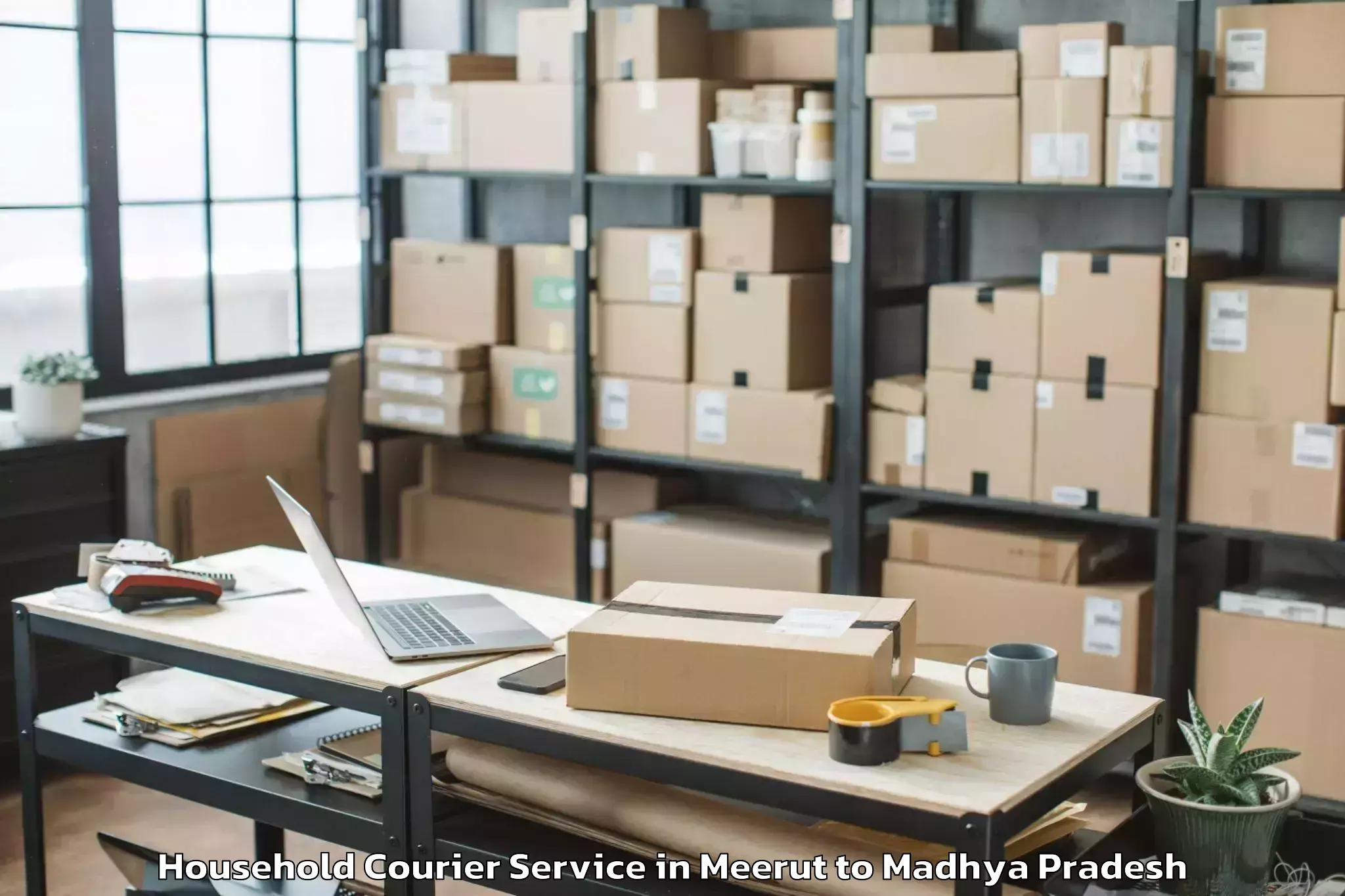 Book Meerut to Kalapipal Mandi Household Courier Online